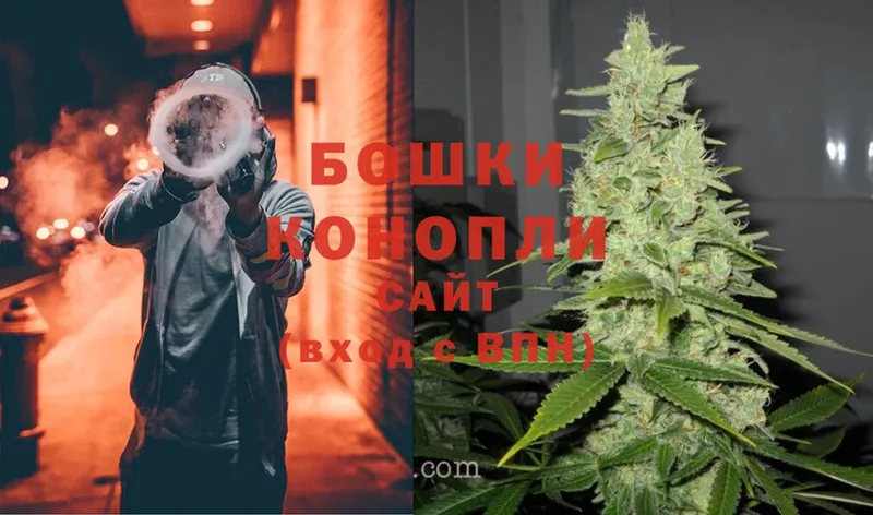 Марихуана OG Kush  Солигалич 